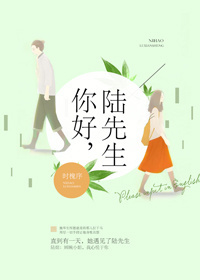 你好陆先生1-100集完整版